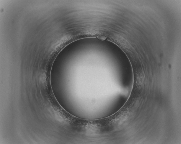 X0000087390256200704271629