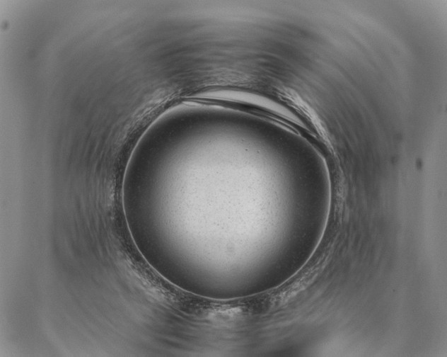 X0000087390257200704271629