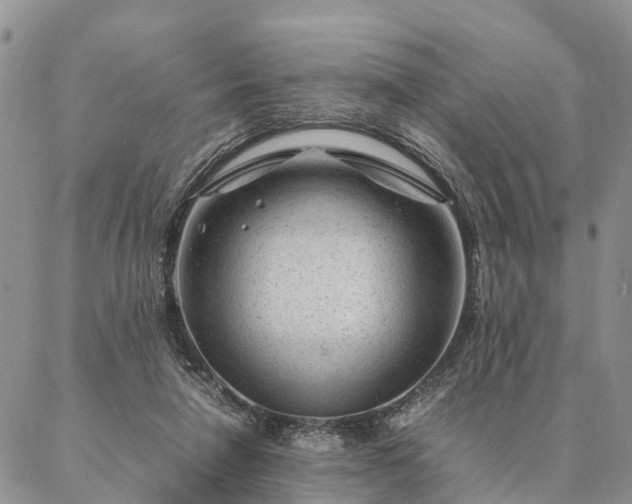 X0000087390258200704271629