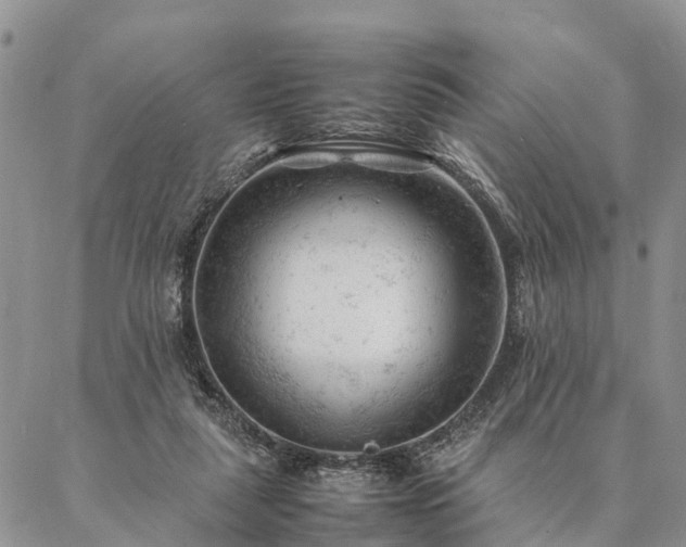 X0000087390259200704271629