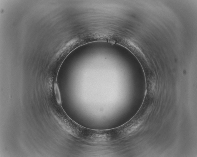 X0000087390260200704271629