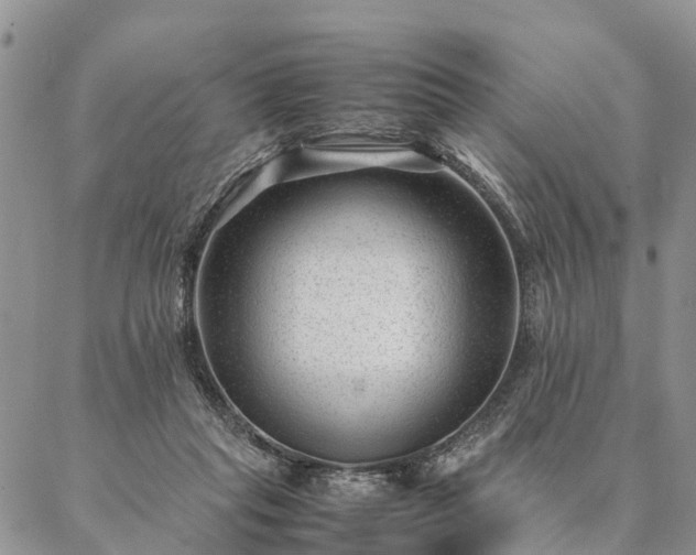 X0000087390261200704271629