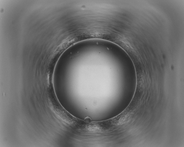 X0000087390262200704271629