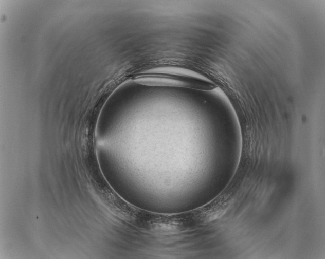 X0000087390263200704271629