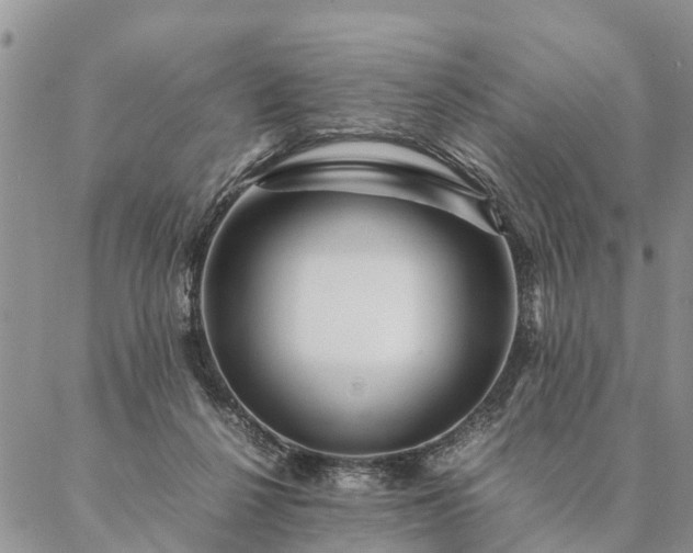 X0000087390264200704271629