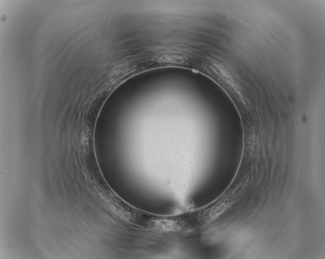 X0000087390265200704271629