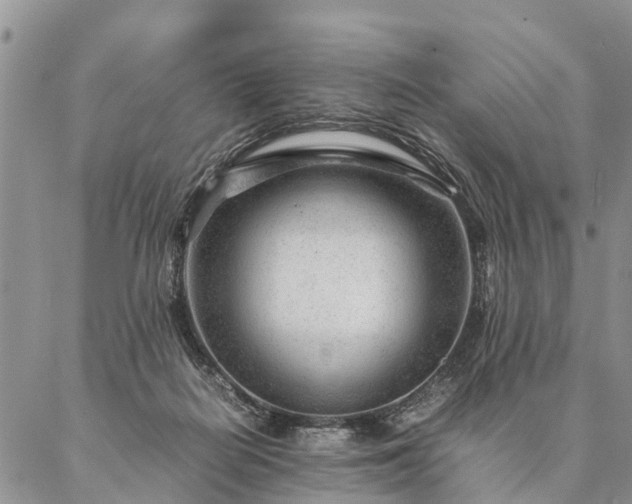 X0000087390266200704271629