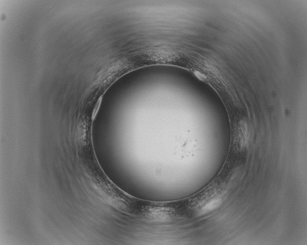 X0000087390268200704271629