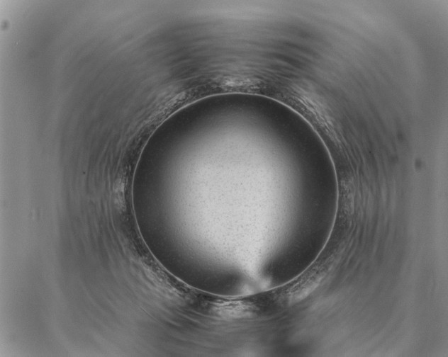 X0000087390269200704271629