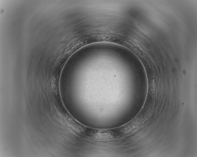 X0000087390270200704271630