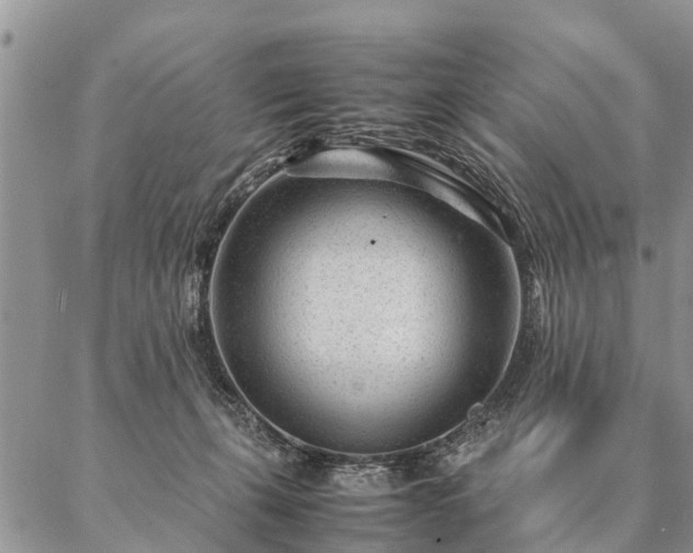 X0000087390271200704271630