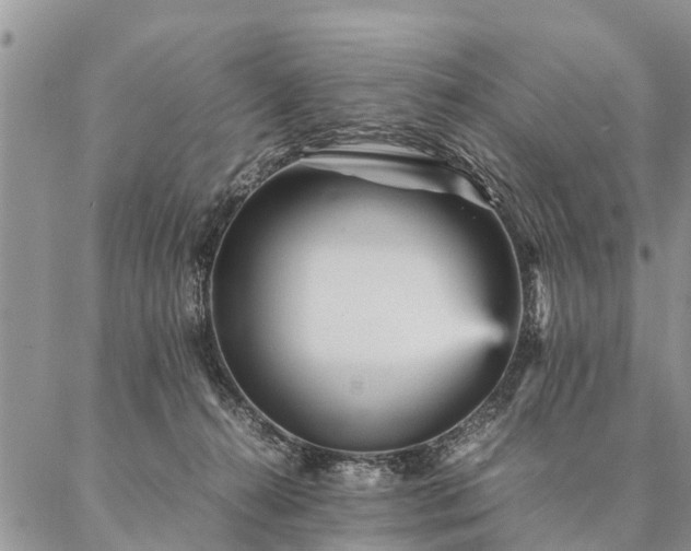 X0000087390272200704271630