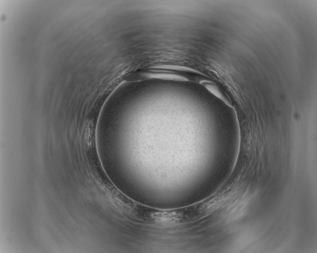 X0000087390273200704271630