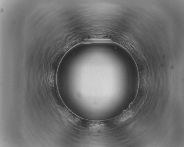 X0000087390274200704271630