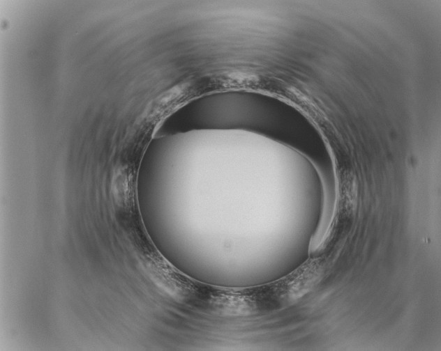 X0000087390276200704271630