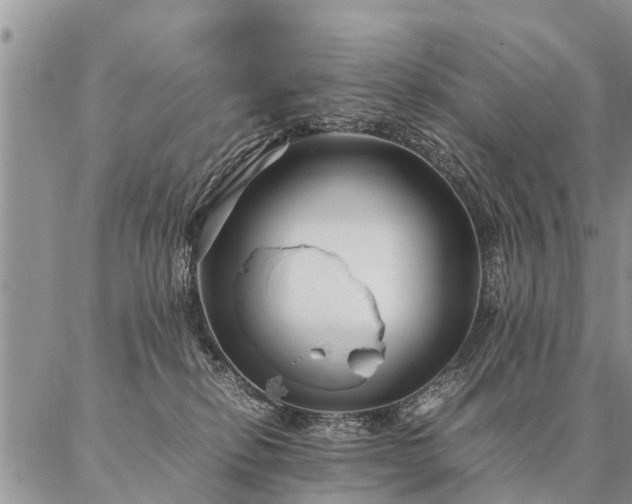 X0000087390278200704271630