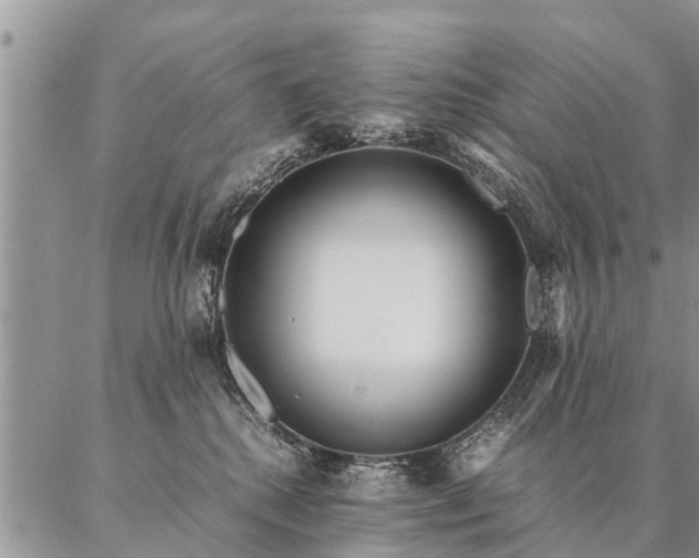 X0000087390280200704271630