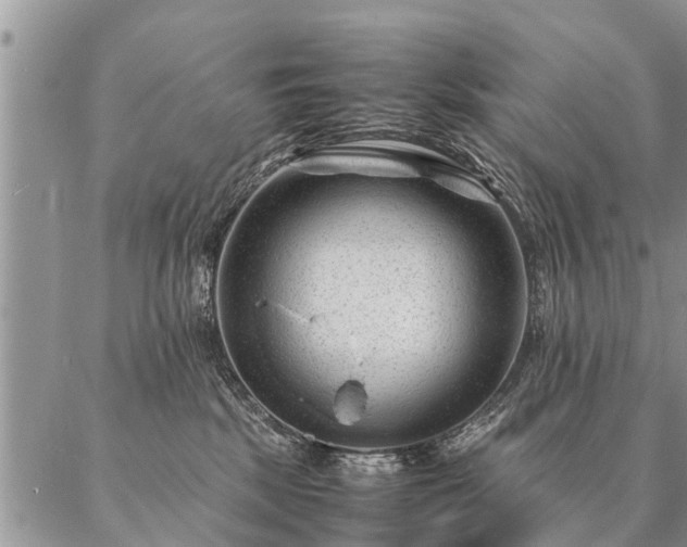 X0000087390281200704271630