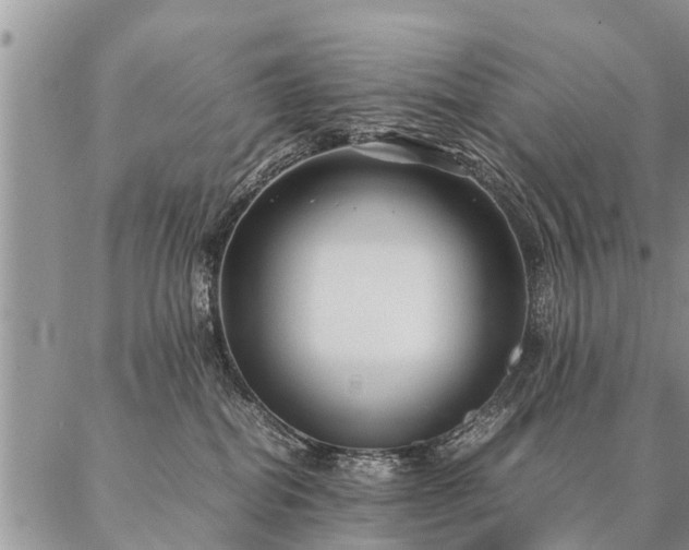 X0000087390282200704271630