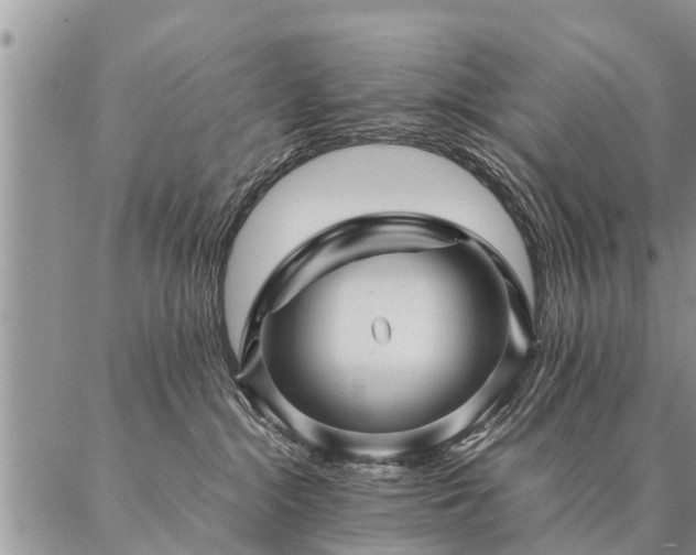 X0000087390284200704271630