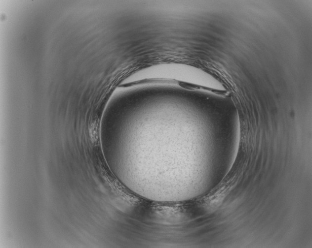 X0000087390285200704271630