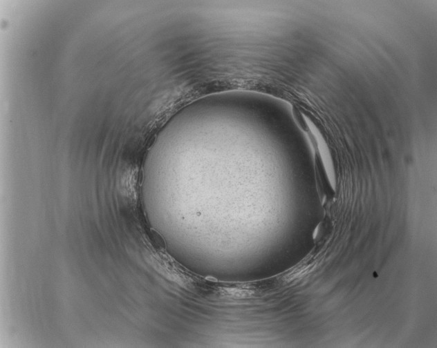 X0000087390286200704271630