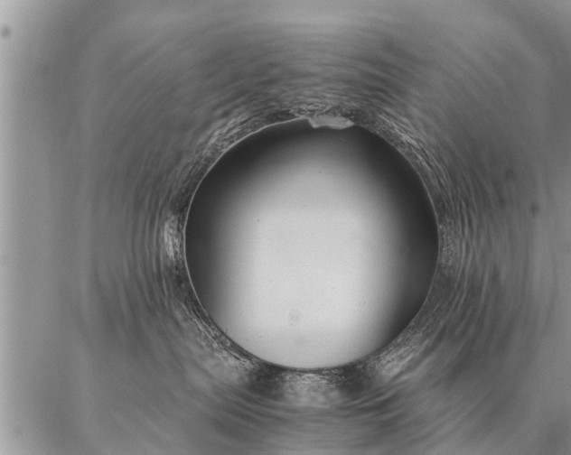 X0000087390287200704271630