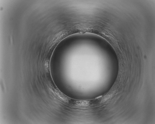 X0000087390288200704271630