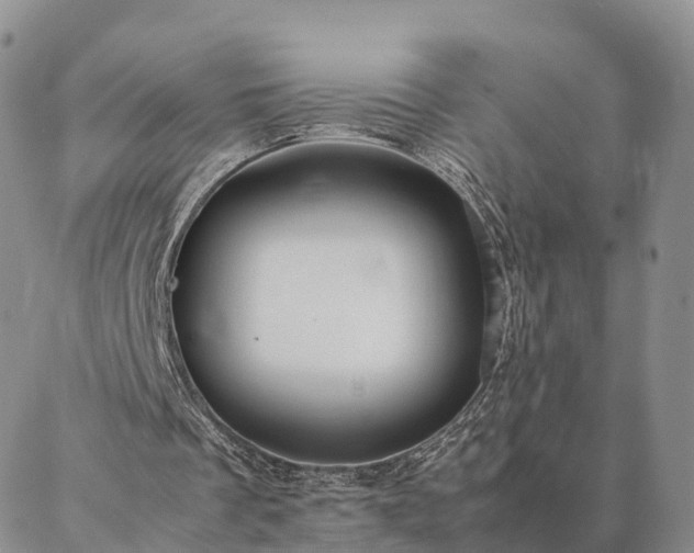 X0000087390289200704271629