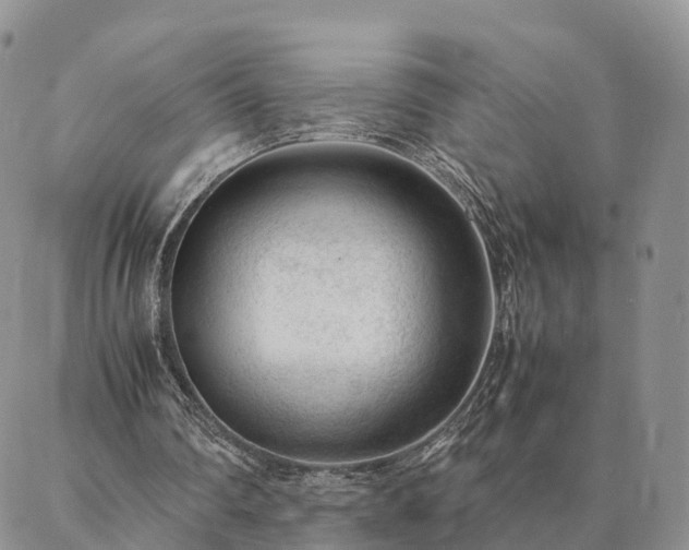 X0000087390290200704271629