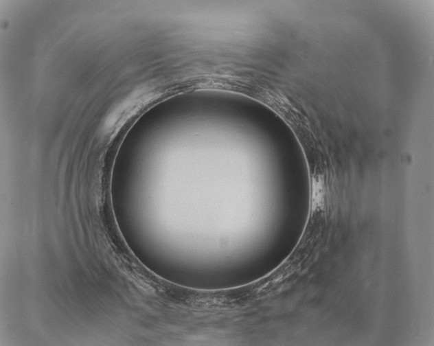 X0000087390291200704271629