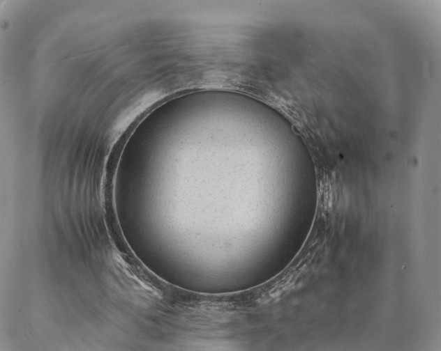 X0000087390292200704271629