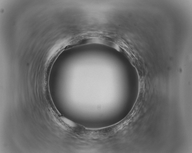 X0000087390293200704271629