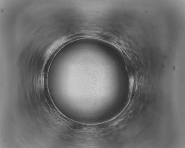 X0000087390294200704271629