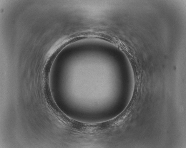 X0000087390295200704271629