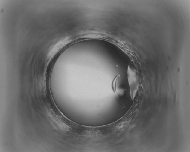 X0000087390296200704271629