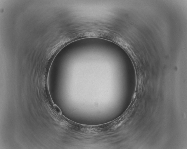 X0000087390297200704271629