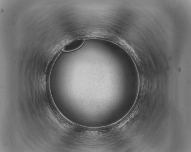 X0000087390298200704271629