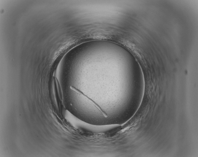 X0000087390299200704271629