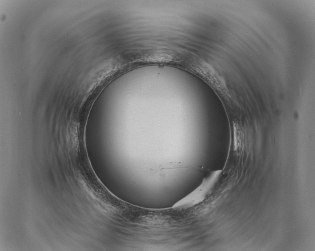 X0000087390300200704271629