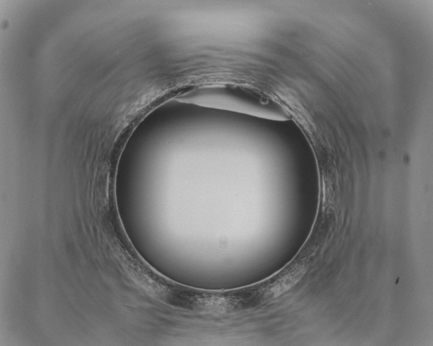 X0000087390301200704271629