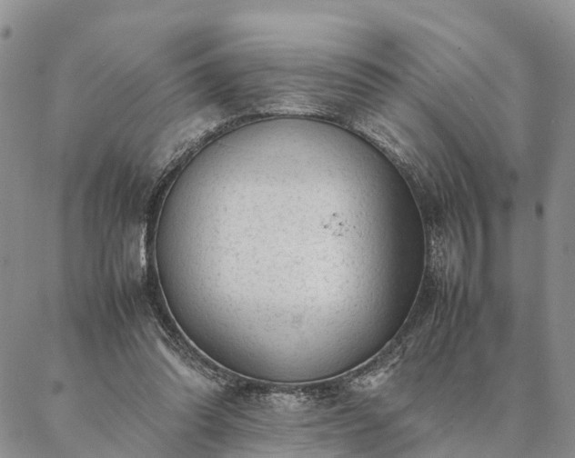 X0000087390302200704271629