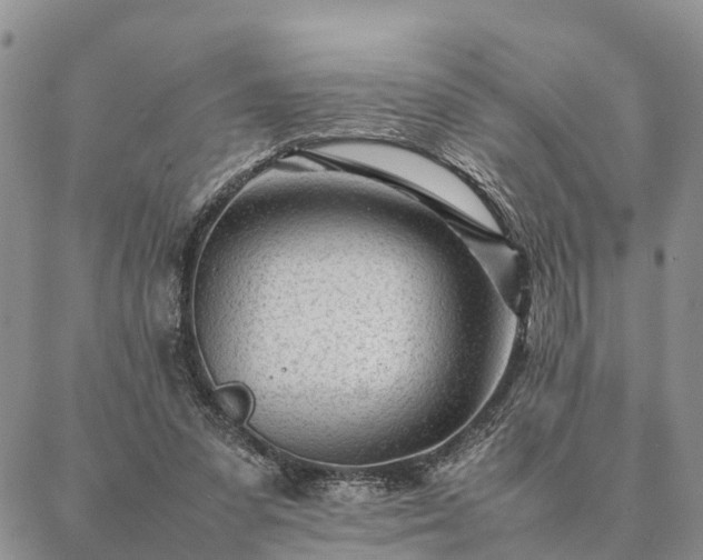 X0000087390303200704271629