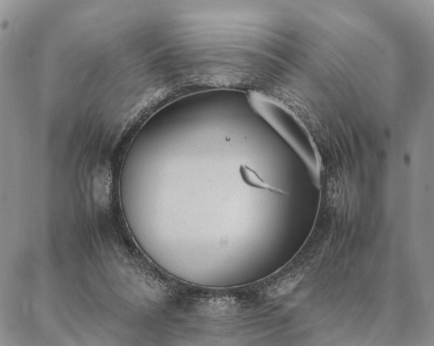 X0000087390304200704271629