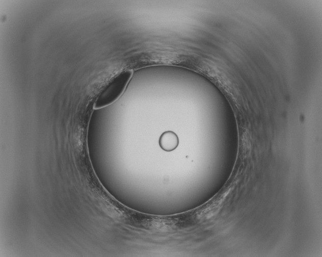 X0000087390305200704271629