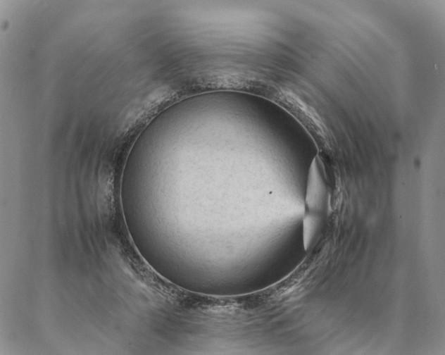 X0000087390306200704271629