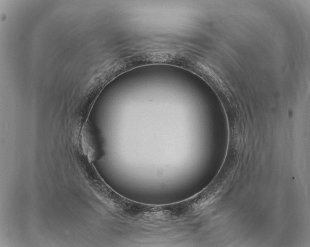 X0000087390307200704271629