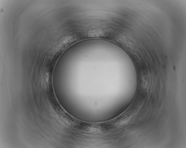 X0000087390308200704271629