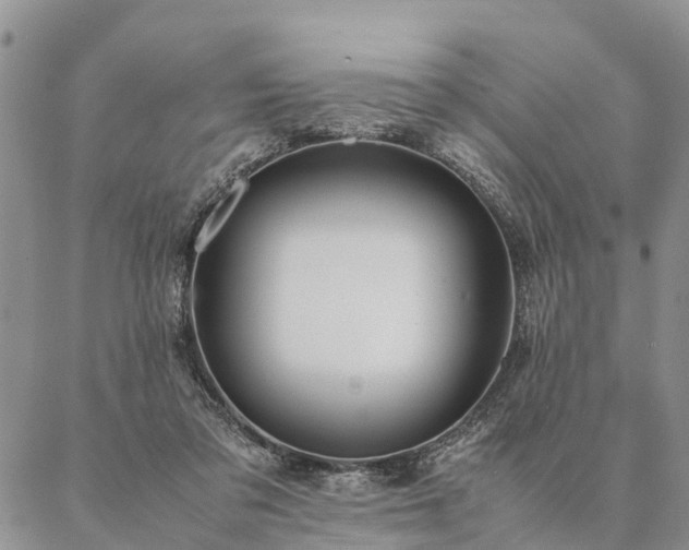 X0000087390309200704271629