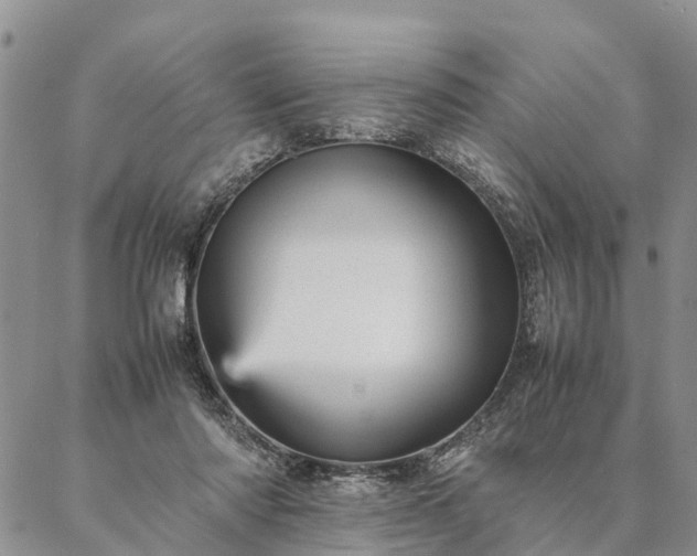 X0000087390310200704271629